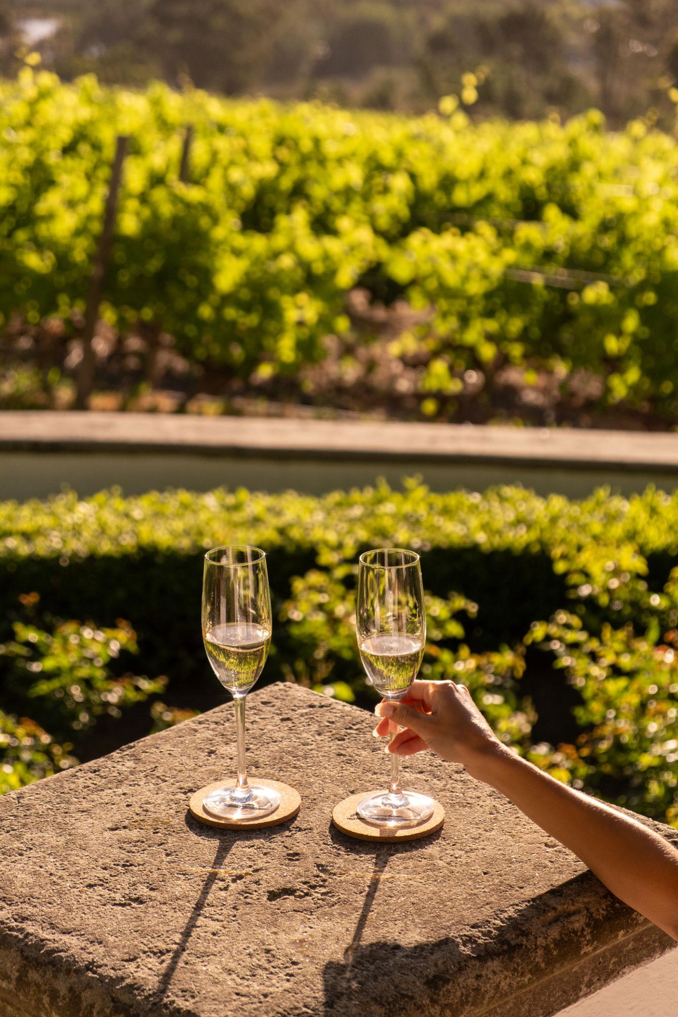 Two glasses of Cape sparkling wine on a terrace overlooking a Winelands vineyard